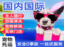 长春航空货运国际宠物托运 【国